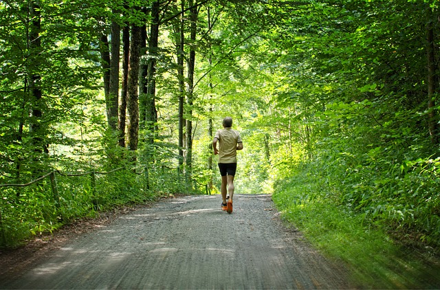 ogging-im-wald